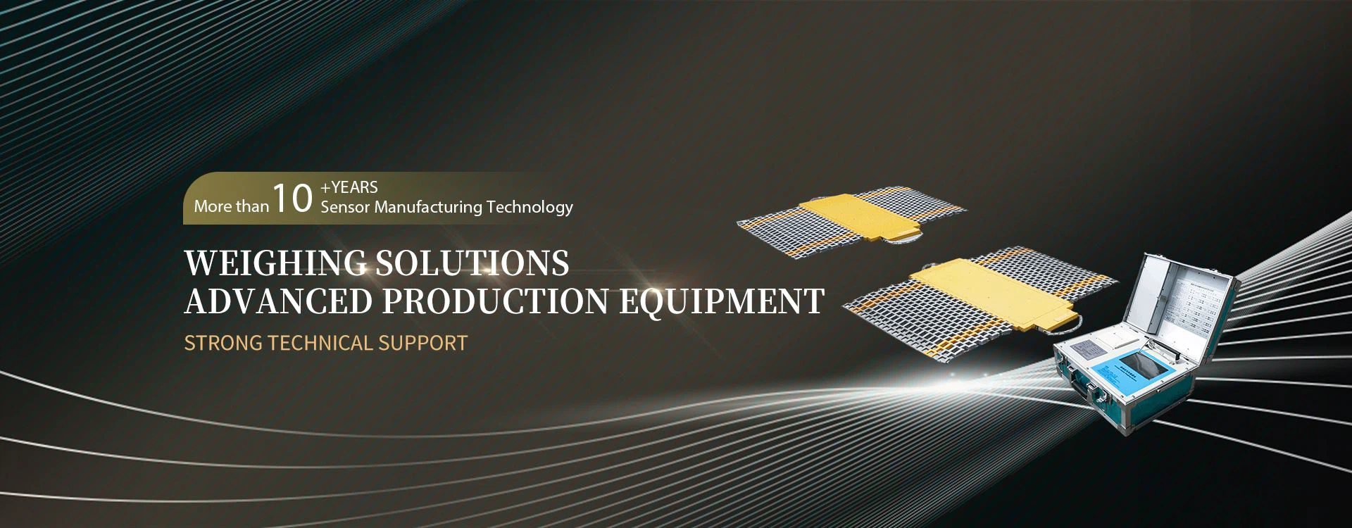 TST Weighing Scales
